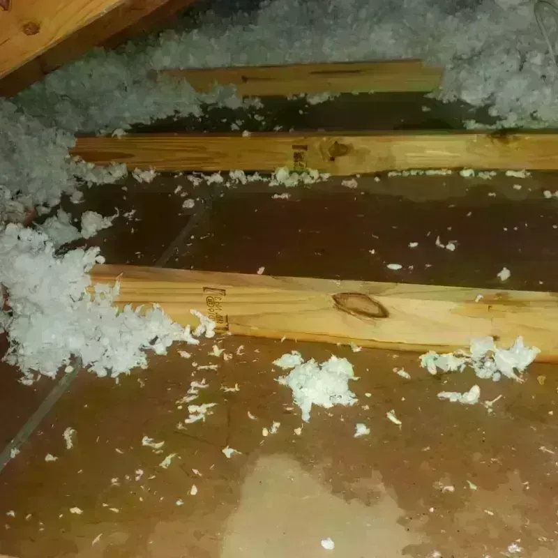 Attic Water Damage in Greenfield, TN